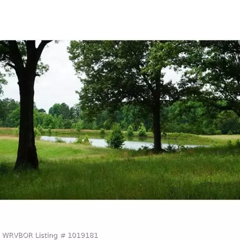 4312 W Driskill Dr, Cabot, AR 72023 photo 3