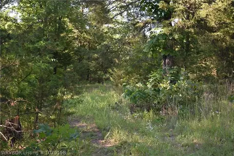 1807 Sunshine Mine Rd, Hackett, AR 72937 photo 1