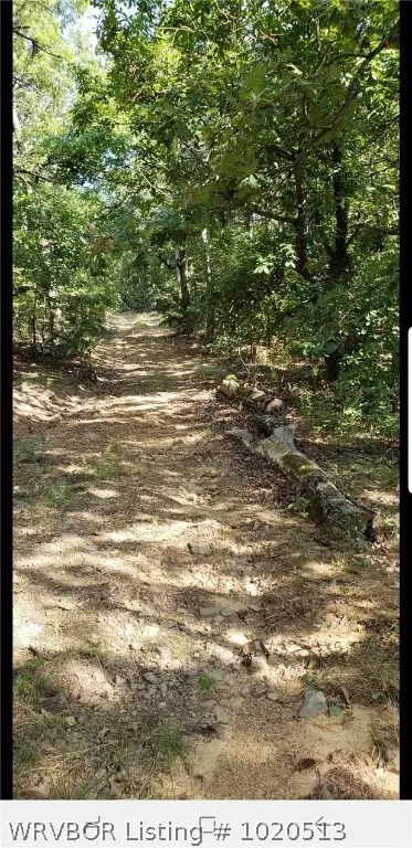 16635 Round Mtn Rd, Howe, OK 74940 photo 7