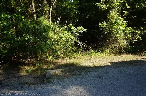 8729 Southshore Dr, Hackett, AR 72937 photo 3