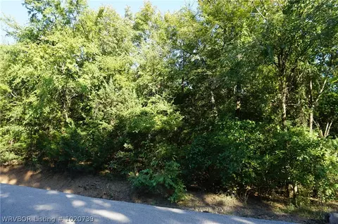 8729 Southshore Dr, Hackett, AR 72937 photo 5