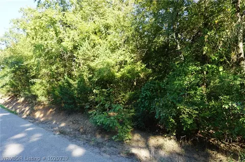 8729 Southshore Dr, Hackett, AR 72937 photo 4