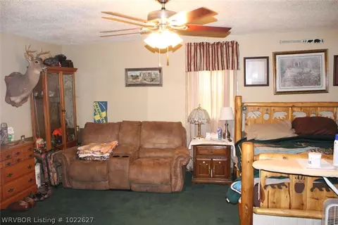 1300 Upper Jethro, Ozark, AR 72949 photo 5