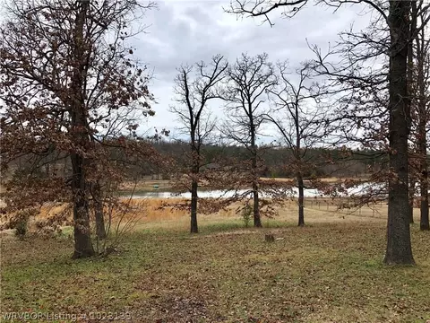 1830 Cherokee Ridge Cir, Mansfield, AR 72944 photo 5