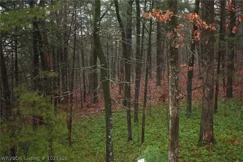 4014 Stagecoach Rd, Ozark, AR 72949 photo 22