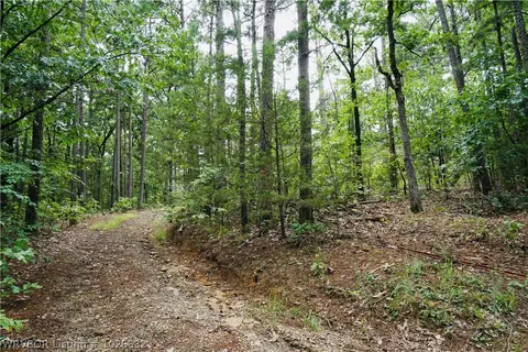 9203 Southshore Dr, Hackett, AR 72937 photo 1