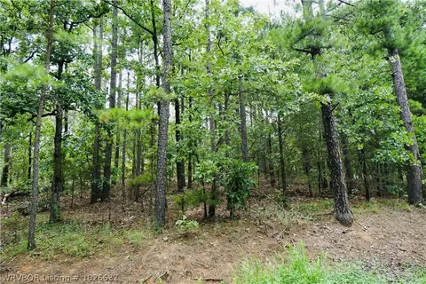 9203 Southshore Dr, Hackett, AR 72937 photo 6