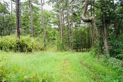 9203 Southshore Dr, Hackett, AR 72937 photo 3