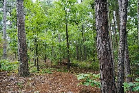 9203 Southshore Dr, Hackett, AR 72937 photo 5