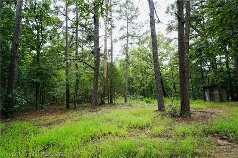 9203 Southshore Dr, Hackett, AR 72937 photo 4