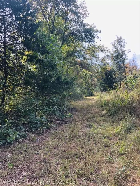 19452 Eagle Gap Rd, Mena, AR 71953 photo 4