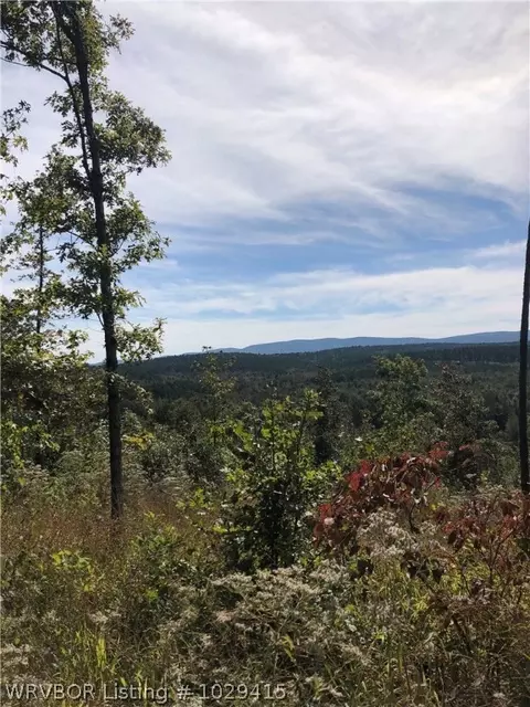 19452 Eagle Gap Rd, Mena, AR 71953 photo 20