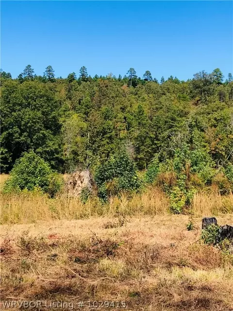 19452 Eagle Gap Rd, Mena, AR 71953 photo 16