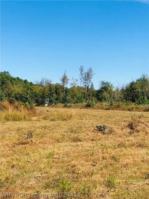 19452 Eagle Gap Rd, Mena, AR 71953 photo 15