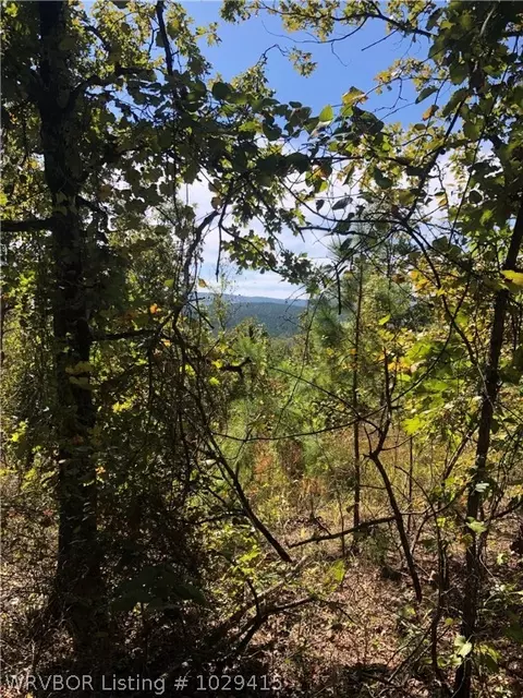 19452 Eagle Gap Rd, Mena, AR 71953 photo 18