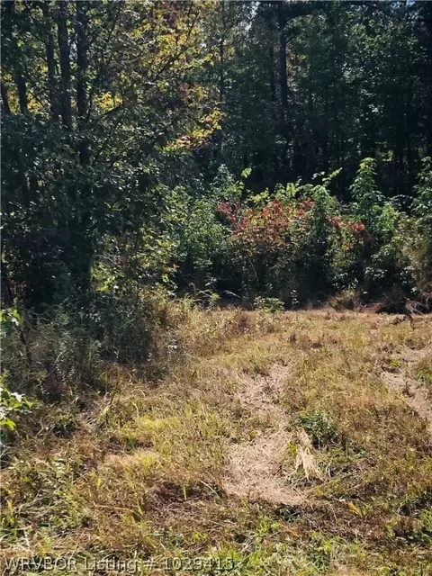 19452 Eagle Gap Rd, Mena, AR 71953 photo 11