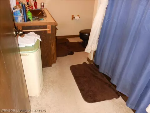 1501 W Highway 96, Mansfield, AR 72944 photo 14