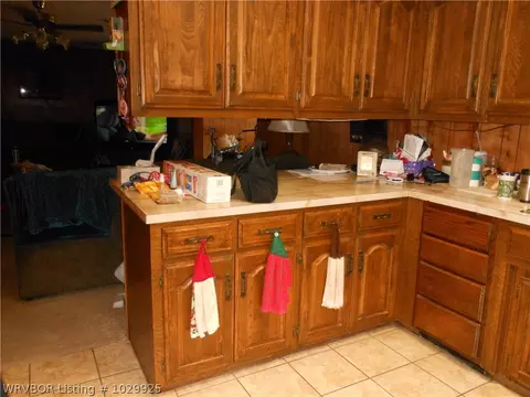 1501 W Highway 96, Mansfield, AR 72944 photo 4