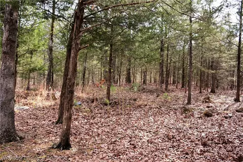 9901 Copperhead Ln, Hackett, AR 72937 photo 22