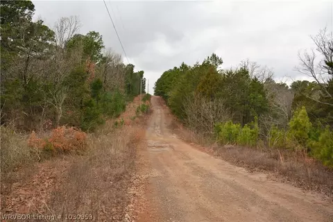 9901 Copperhead Ln, Hackett, AR 72937 photo 28