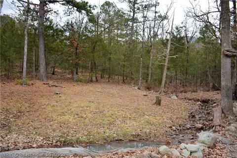 9901 Copperhead Ln, Hackett, AR 72937 photo 14