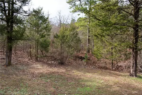9901 Copperhead Ln, Hackett, AR 72937 photo 25