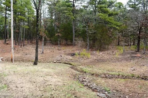 9901 Copperhead Ln, Hackett, AR 72937 photo 21