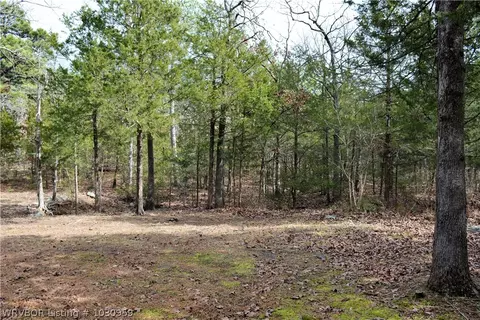 9901 Copperhead Ln, Hackett, AR 72937 photo 19