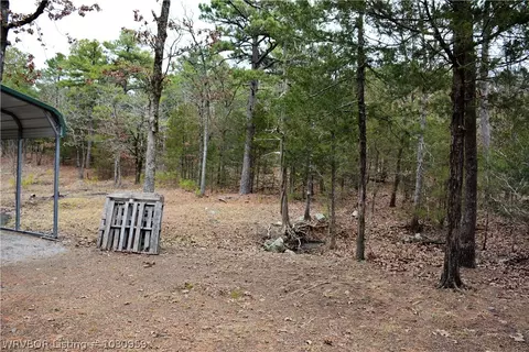 9901 Copperhead Ln, Hackett, AR 72937 photo 16
