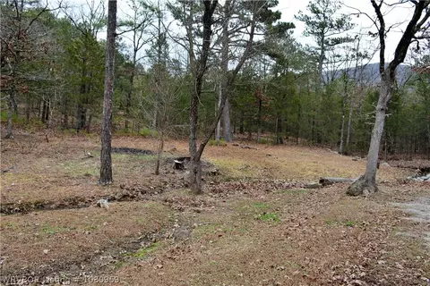 9901 Copperhead Ln, Hackett, AR 72937 photo 13