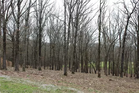 3209 Barnes Rd, Ozark, AR 72949 photo 9