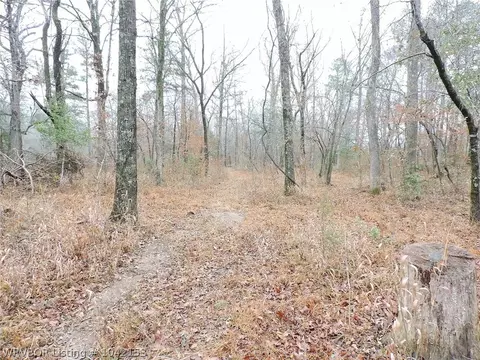 13410 Imogene Rd, Mena, AR 71953 photo 1