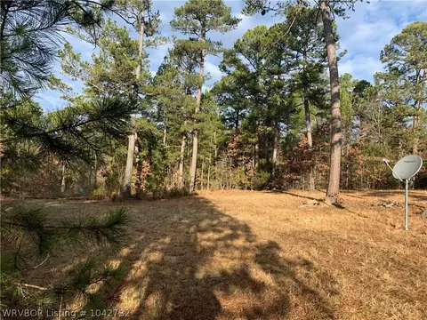 18223 Maple Rd, Waldron, AR 72958 photo 16