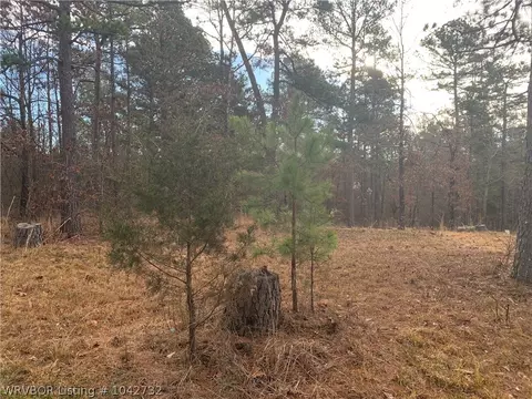 18223 Maple Rd, Waldron, AR 72958 photo 6