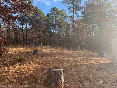 18223 Maple Rd, Waldron, AR 72958 photo 14