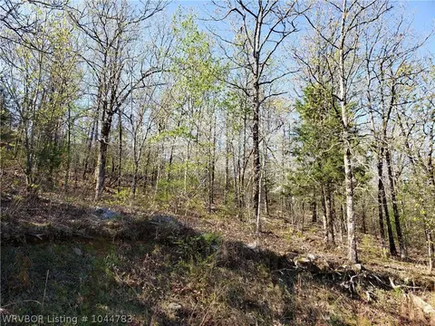 1445 Hendrix Rd, Greenwood, AR 72936 photo 6