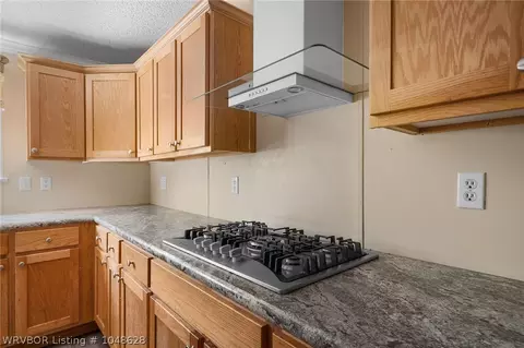 9100 Old 81 Loop, Rudy, AR 72952 photo 14
