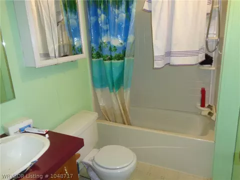 905 E Main St, Altus, AR 72821 photo 24