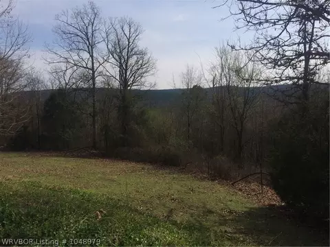 24519 Highway 80, Waldron, AR 72958 photo 4
