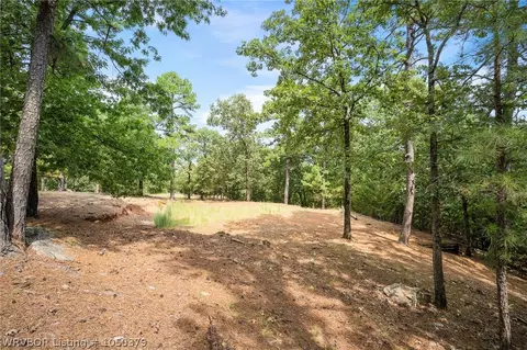 9611 Copperhead Ln, Hackett, AR 72937 photo 27