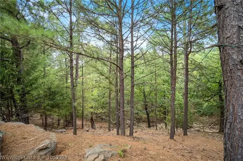 9611 Copperhead Ln, Hackett, AR 72937 photo 23