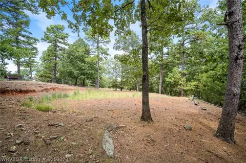 9611 Copperhead Ln, Hackett, AR 72937 photo 28