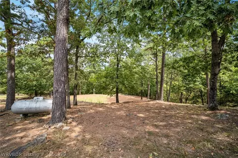 9611 Copperhead Ln, Hackett, AR 72937 photo 25