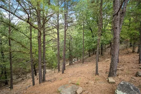 9611 Copperhead Ln, Hackett, AR 72937 photo 24