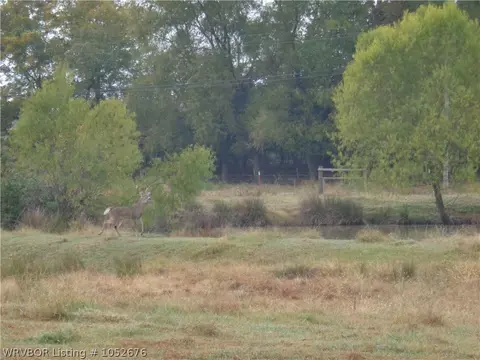 506 Hill St, Altus, AR 72821 photo 25