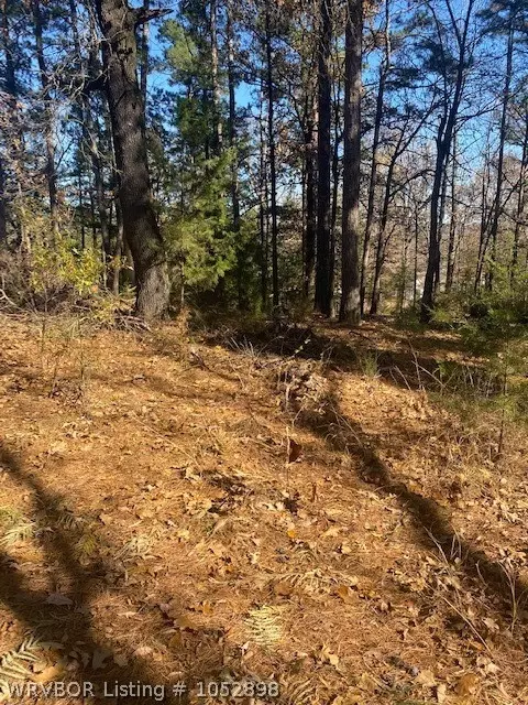 6821 Highway 28, Parks, AR 72950 photo 9