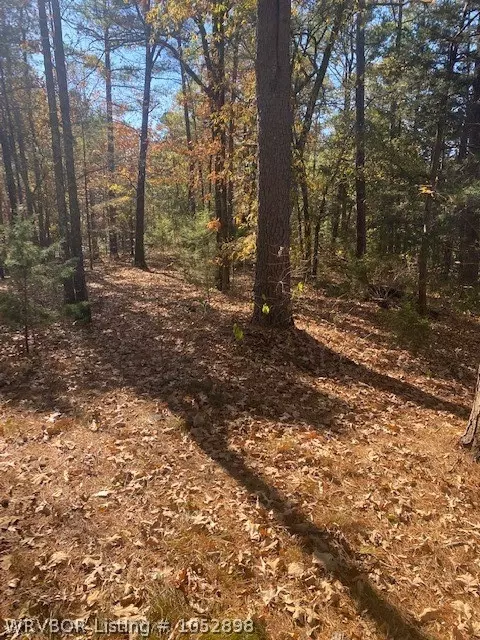 6821 Highway 28, Parks, AR 72950 photo 10