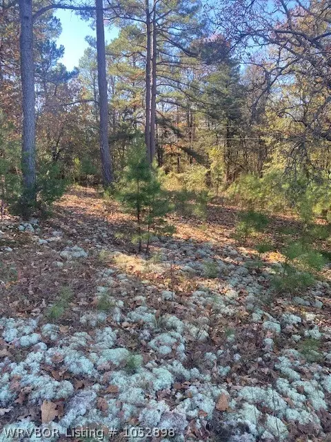 6821 Highway 28, Parks, AR 72950 photo 8