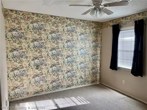 207 W Spring St, Ozark, AR 72949 photo 10