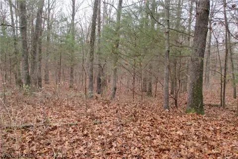 8616 N Dublin Rd, Scranton, AR 72863 photo 6